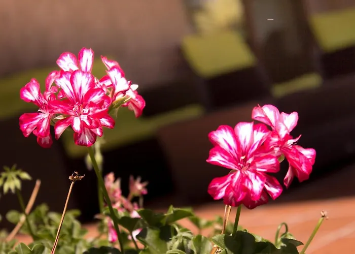 Piramide 2 Πόρτο Νόβο